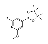 2-Chloro-6-methoxypyridine-4-boronic acid pinacol ester Structure