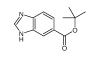 tert-butyl 3H-benzimidazole-5-carboxylate结构式