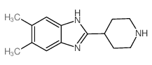 5,6-Dimethyl-2-piperidin-4-yl-1H-benzimidazole结构式