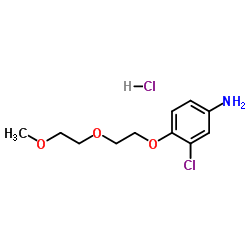 3-Chloro-4-[2-(2-methoxyethoxy)ethoxy]aniline hydrochloride (1:1) Structure