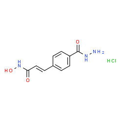 (E)-3-(4-(hydrazinecarbonyl)phenyl)-N-hydroxyacrylamide hydrochloride Structure