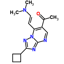 1-[2-cyclobutyl-7-[(E)-2-(dimethylamino)vinyl]-[1,2,4]triazolo[1,5-a]pyrimidin-6-yl]ethanone Structure