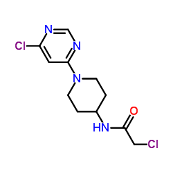 2-Chloro-N-[1-(6-chloro-4-pyrimidinyl)-4-piperidinyl]acetamide picture