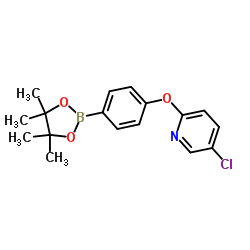 5-Chloro-2-[4-(4,4,5,5-tetramethyl-1,3,2-dioxaborolan-2-yl)phenoxy]pyridine结构式