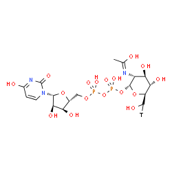 URIDINE 5'-DIPHOSPHO-N-ACETYLGLUCOSAMINE-[GLUCOSAMINE-6-3H(N)]结构式