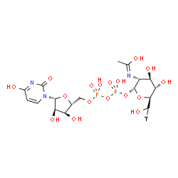 URIDINE 5'-DIPHOSPHO-N-ACETYLGLUCOSAMINE-[GLUCOSAMINE-6-3H(N)] Structure