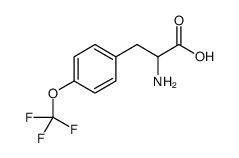 2-AMINO-3-(4-TRIFLUOROMETHOXY-PHENYL)-PROPIONIC ACID结构式