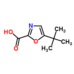 5-tert-Butyl-2-oxazolecarboxylic Acid Structure