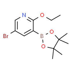 5-Bromo-2-ethoxypyridine-3-boronic acid pinacol ester picture