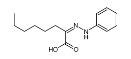 2-(phenylhydrazinylidene)octanoic acid Structure
