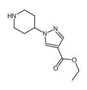 ethyl 1-piperidin-4-ylpyrazole-4-carboxylate结构式