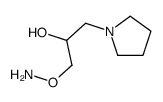 1-Pyrrolidineethanol,alpha-[(aminooxy)methyl]-(9CI) picture