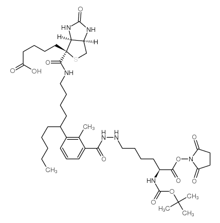 N2-t-Boc-N6-(biotinamido-6-N-caproylamido)lysine N-Hydroxysuccinimide Ester structure