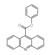 苯基吖啶-9-羧酸酯结构式