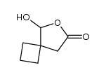 7-hydroxy-6-oxaspiro[3.4]octan-7-one Structure