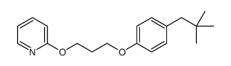 2-[3-[4-(2,2-dimethylpropyl)phenoxy]propoxy]pyridine Structure