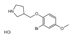 3-[(2-bromo-4-methoxyphenoxy)methyl]pyrrolidine,hydrochloride结构式