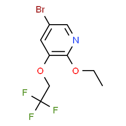 5-Bromo-2-ethoxy-3-(2,2,2-trifluoroethoxy)pyridine结构式