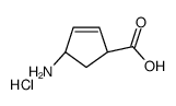 (1S,4r)-4-氨基-2-环戊烯羧酸盐酸盐结构式