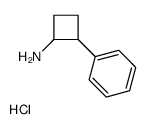 2-phenylcyclobutan-1-amine,hydrochloride Structure