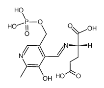 (S)-2-(((3-hydroxy-2-methyl-5-((phosphonooxy)methyl)pyridin-4-yl)methylene)amino)pentanedioic acid Structure