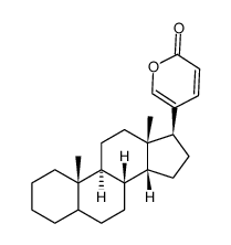 bufadienolide structure