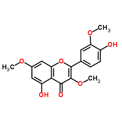 Pachypodol Structure