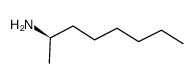 (R)-2-氨基辛烷图片