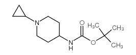 4-(Boc-氨基)-1-环丙基哌啶图片