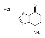 4-amino-5,6-dihydro-4H-1-benzothiophen-7-one,hydrochloride结构式