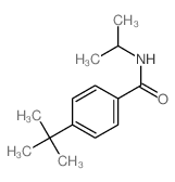 Benzamide, 4-(1,1-dimethylethyl)-N-(1-methylethyl)- Structure