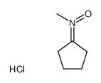 N-cyclopentylidenemethanamine N-oxide hydrochloride结构式