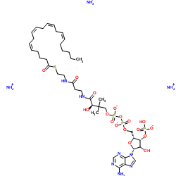 (5Z,8Z,11Z,14Z-二十碳四烯酰基)辅酶A(铵盐)图片