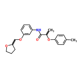 2-(4-Methylphenoxy)-N-[3-(tetrahydro-2-furanylmethoxy)phenyl]propanamide结构式