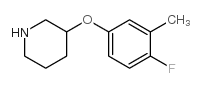 3-(4-Fluoro-3-methyl-phenoxy)-piperidine结构式