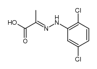2-(2,5-dichloro-phenylhydrazono)-propionic acid Structure