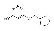 5-(cyclopentylmethoxy)pyridazin-3(2H)-one结构式