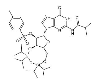 N2-isobutyryl-2'-O-p-toluenesulfonyl-3',5'-O-(1,1,3,3-tetraisopropyl-1,3-disiloxanyl)guanosine Structure