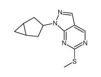 1-(双环[3.1.0]己烷-3-基)-6-(甲基硫代)-1H-吡唑并[3,4-d]嘧啶结构式