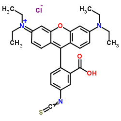 rhodamine b isothiocyanate structure
