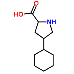 链道酶结构式
