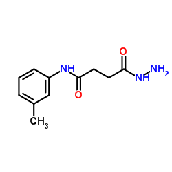 4-Hydrazino-N-(3-methylphenyl)-4-oxobutanamide Structure