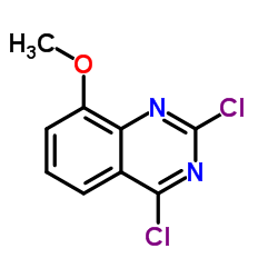 2,4-二氯-8-甲氧基喹唑啉图片