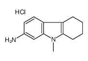 (9-methyl-5,6,7,8-tetrahydrocarbazol-2-yl)azanium,chloride结构式