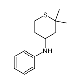 2,2-dimethyl-N-phenyltetrahydro-2H-thiopyran-4-amine Structure