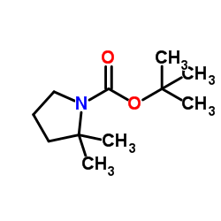 1-Boc-2,2-二甲基吡咯烷图片
