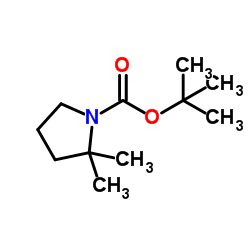 1-Boc-2,2-Dimethylpyrrolidine Structure