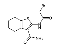 2-(2-bromoacetamido)-4,5,6,7-tetrahydrobenzo[b]thiophene-3-carboxamide Structure
