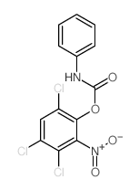 Phenol,3,4,6-trichloro-2-nitro-, 1-(N-phenylcarbamate) Structure