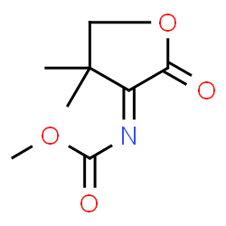 Carbamic acid,(dihydro-4,4-dimethyl-2-oxo-3(2H)-furanylidene)-,methyl ester (9CI) picture